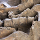 Illustration for article titled A rare, near-complete mammoth skeleton has been unearthed near Paris
